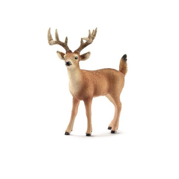 Schleich - White-tailed buck