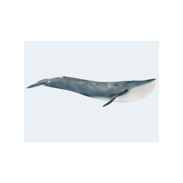 Schleich Blhval / Blue Whale