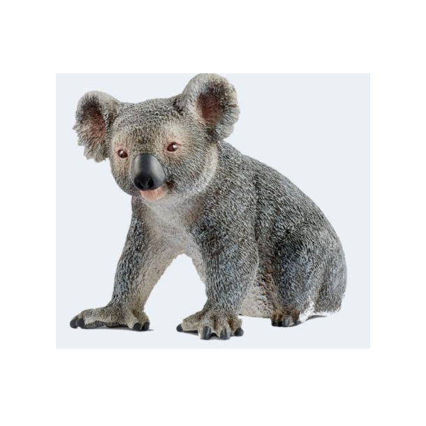 Schleich koala