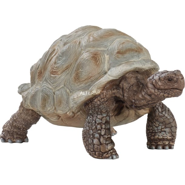 Schleich skildpadde