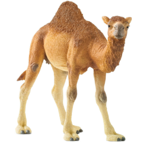 Schleich Cammel  dromedar