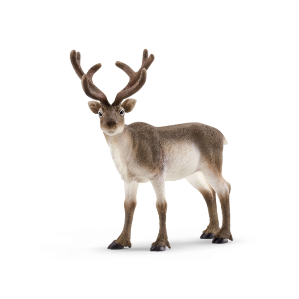 Schleich Reindeer