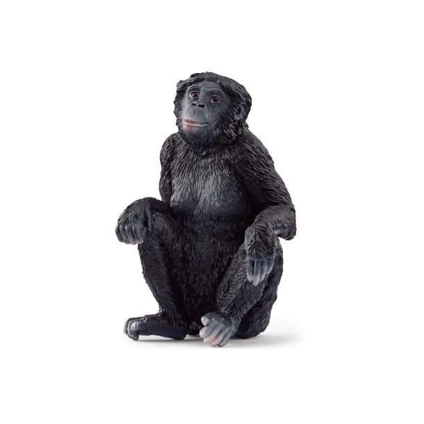 Schleich Bonobo abe - female