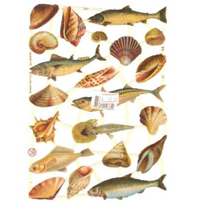 Glansbilleder med fisk