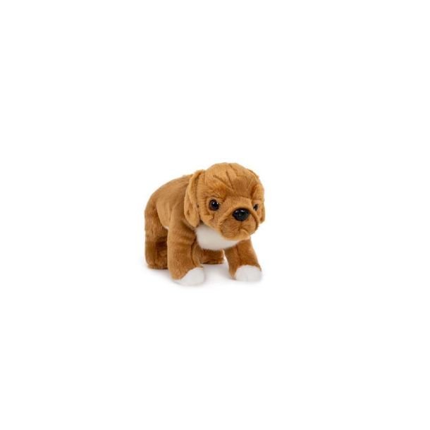Mastiff hund 25 cm