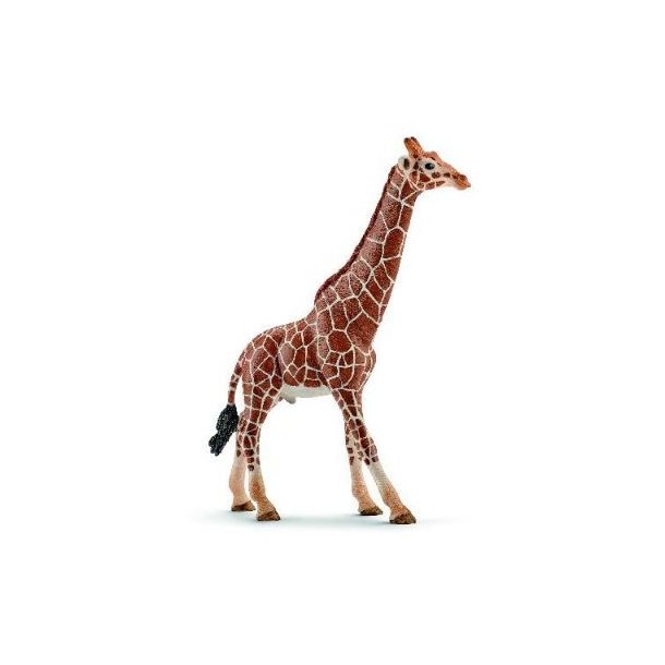 Schleich Giraffe male