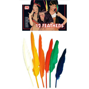 12 Indianer fjer i flere farver