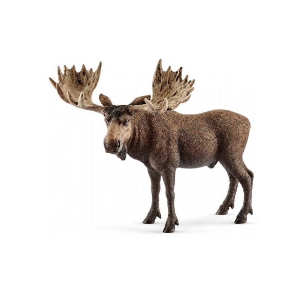 Schleich moose bull